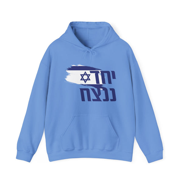 Together We Win - Israel Hoodie Sweatshirt